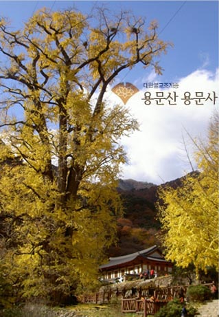용문산 용문사